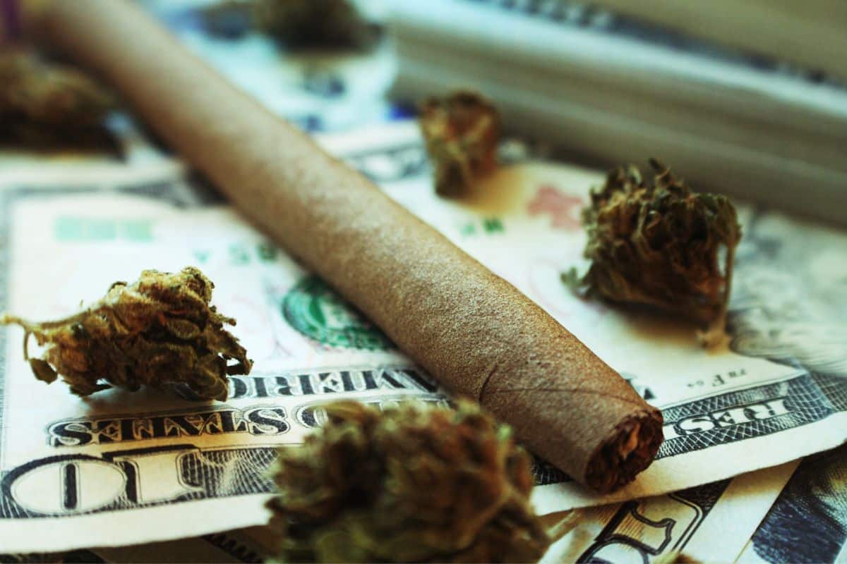 Varieties and selection of blunt