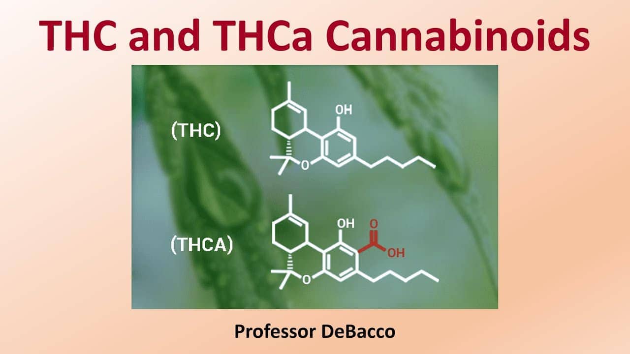 A potent chemical formula with THCa, containing 100mg.