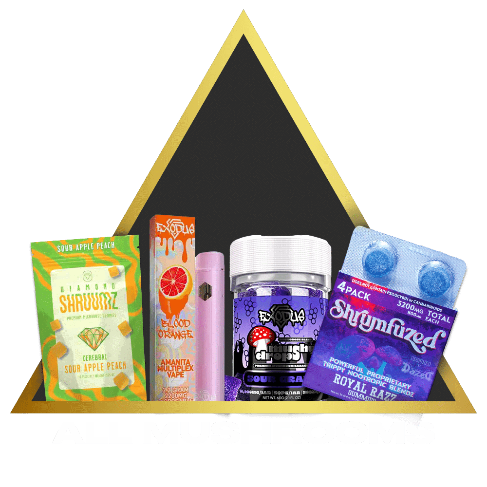 An assortment of mushroom-infused products displayed against a yellow triangular background with the text "all mushrooms" above.
