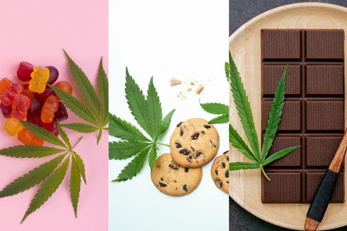 Types of Cannabis Edibles