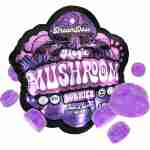 delta extrax dream dose nootropic magic mushroom gummies 15pc purple berry bliss
