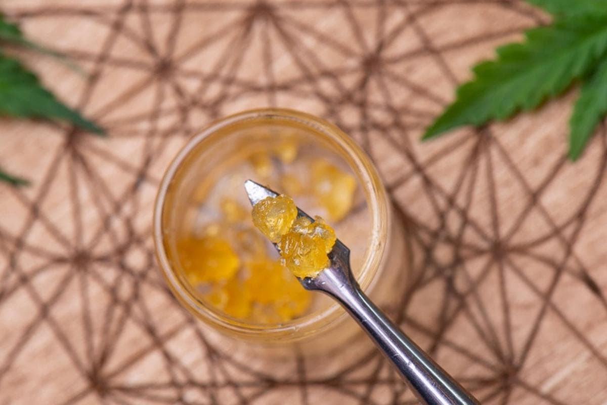 A person using 1 gram of cannabis concentrate for dabbing