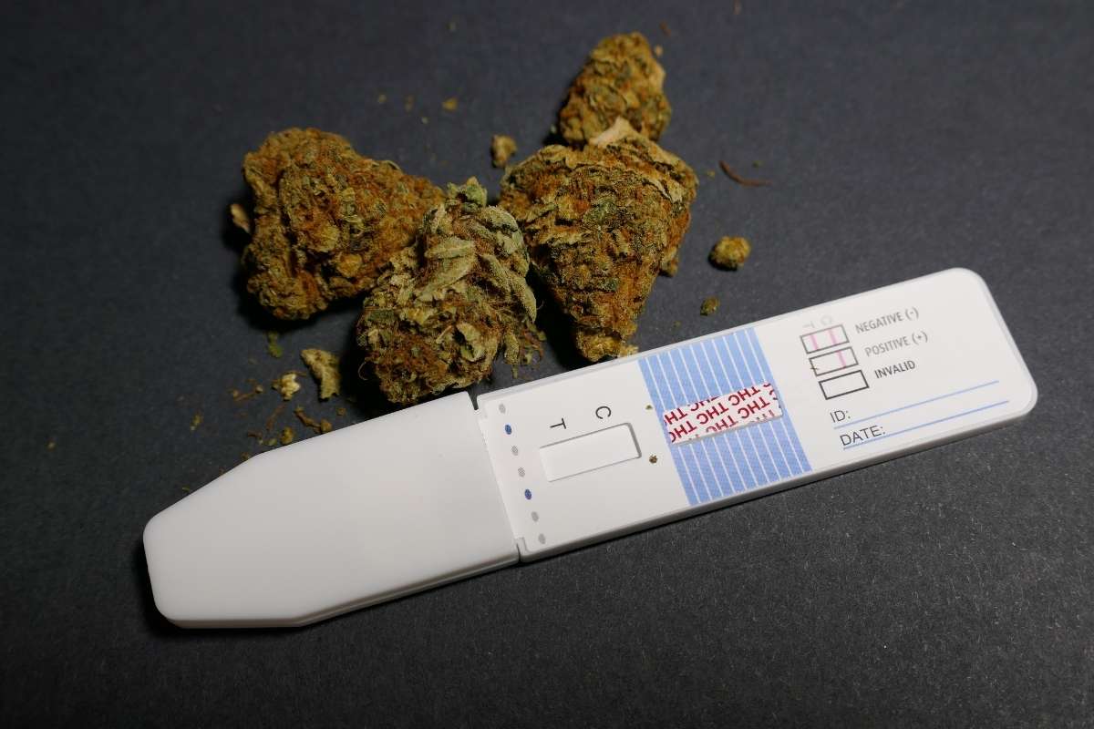 A test strip for THCA drug testing is shown in the image with THCA flower