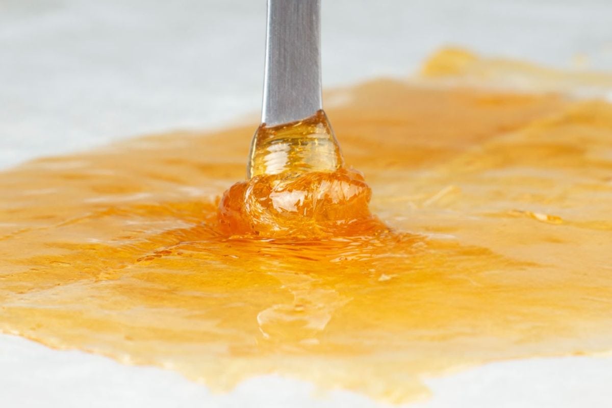 A close-up of cannabis sauce extract is shown in the image