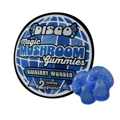 disco magic mushroom 2pc blueberry wonder