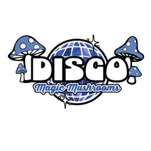 Disco