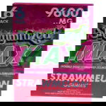 The vibrant pink Shrumfuzed MAX Nootropic Mushroom Gummies box offers a double-dose, nootropic treat without psilocybin or cannabinoids, featuring 6 Pack and 9600 MG clearly marked at the top.