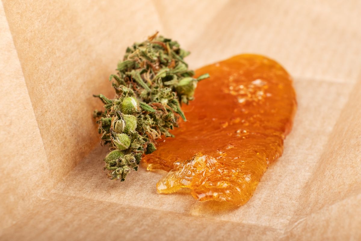 A cannabis bud with its extracts shown in the image