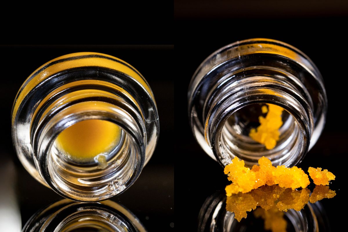 HTE vs Live Resin: Which Extracts Offer the Best Flavor and Effects?