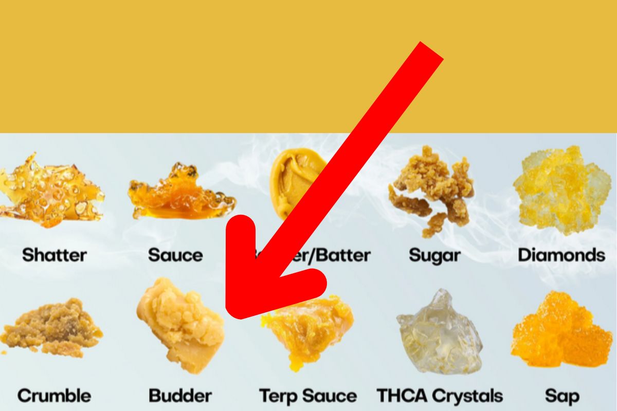 Live Budder Close Up View