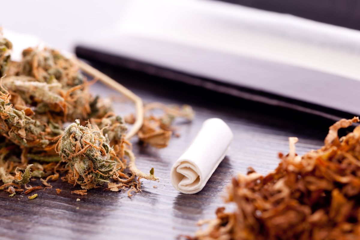 The image displays a perfectly rolled joint filter