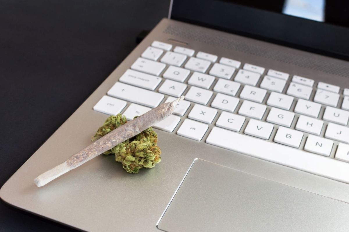 A person showing pre-roll and cannabis buds that he bought online