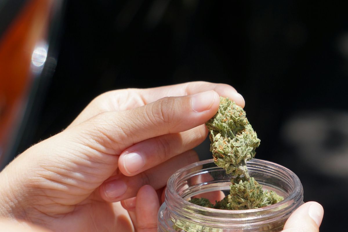 A woman holding cannabis strain best suited for pain management