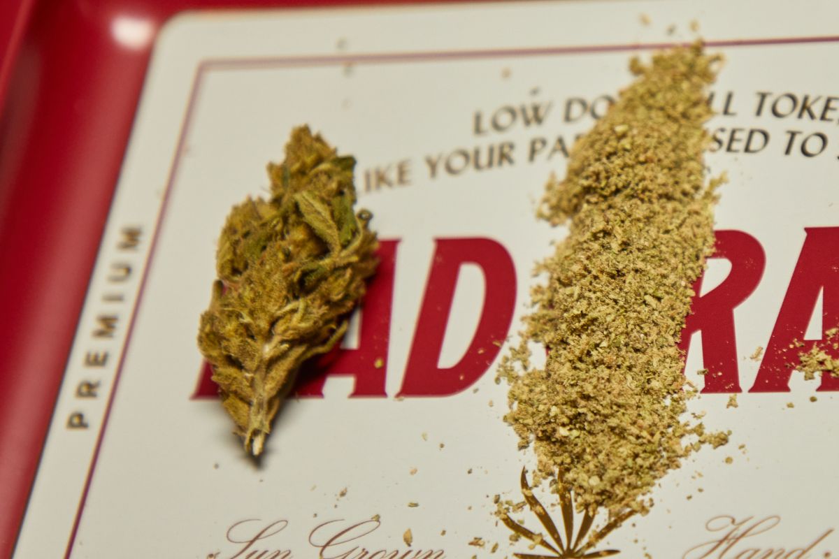 Cannabis shake on the right side and cannabis nug on the left side of the image