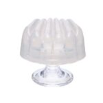Iroha Petit Shell