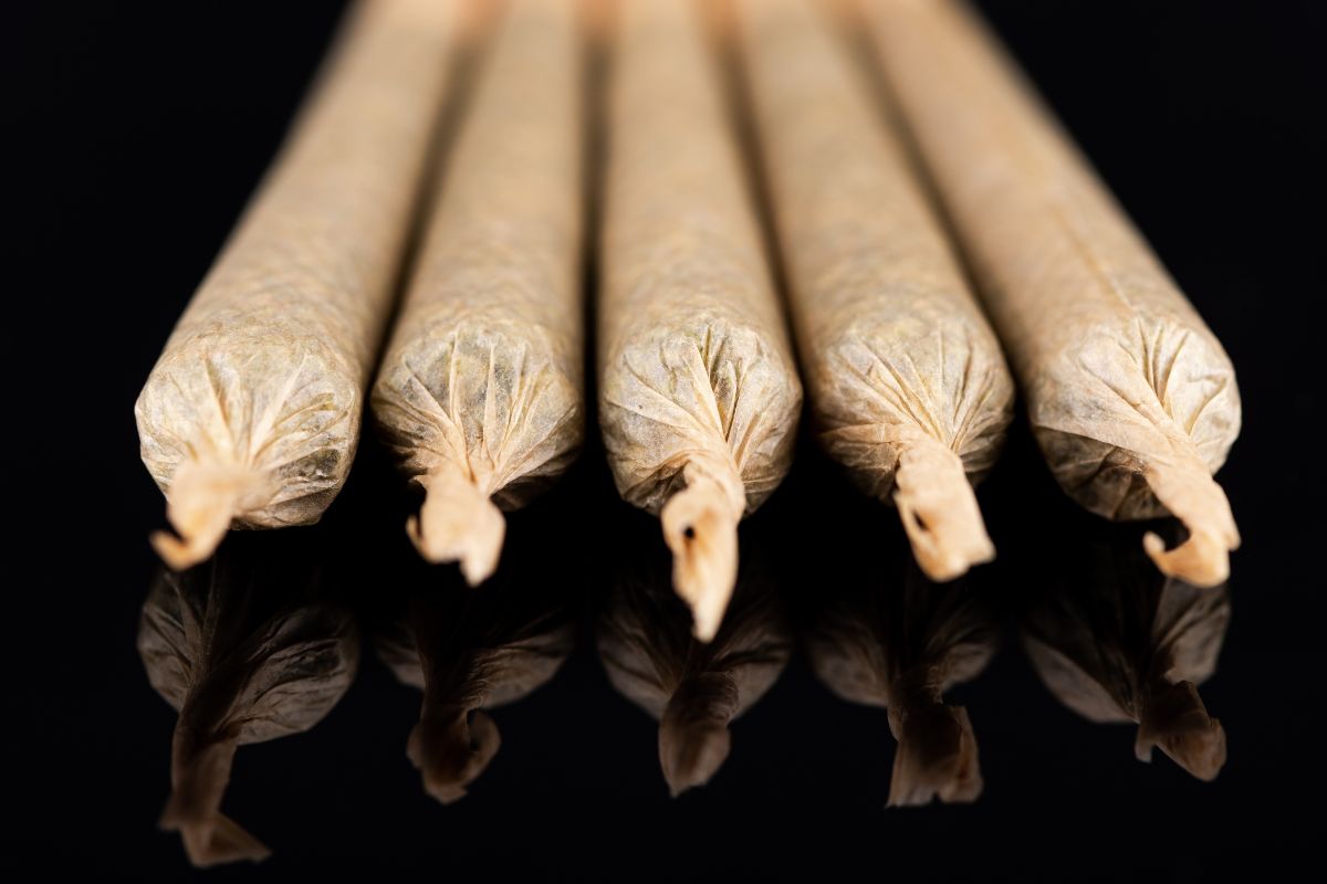 King Size RAW cannabis cones shown in the image