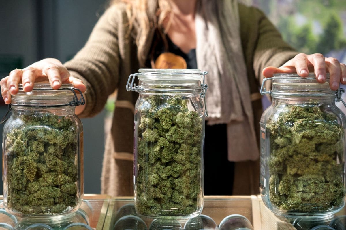 A lady is selling different strains of cannabis for different purposes
