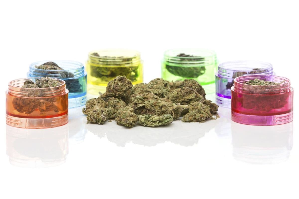 Cannabis buds stored in airtight glass jars for freshness and potency