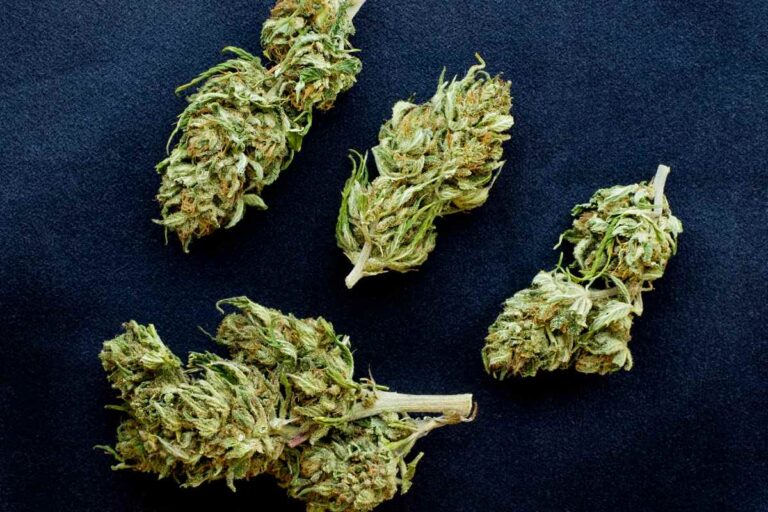 Different strains of cannabis buds kept together