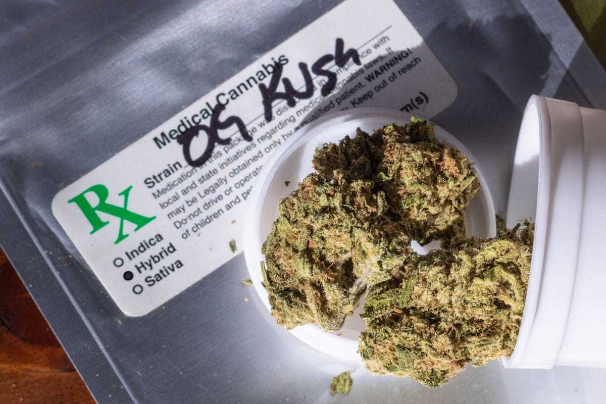 OG Kush-flavored hybrid strain prescribed for medical use