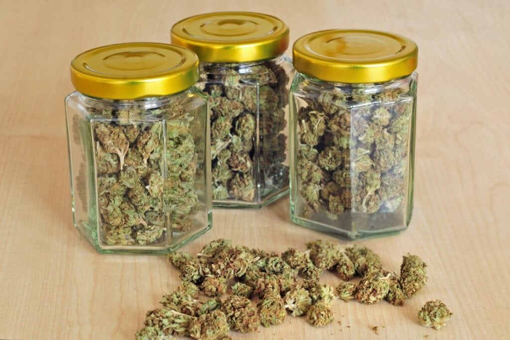Storing CBDA and THCA-rich cannabis buds in an airtight container to preserve aroma and therapeutic benefits.