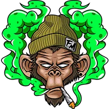 Flying Monkey