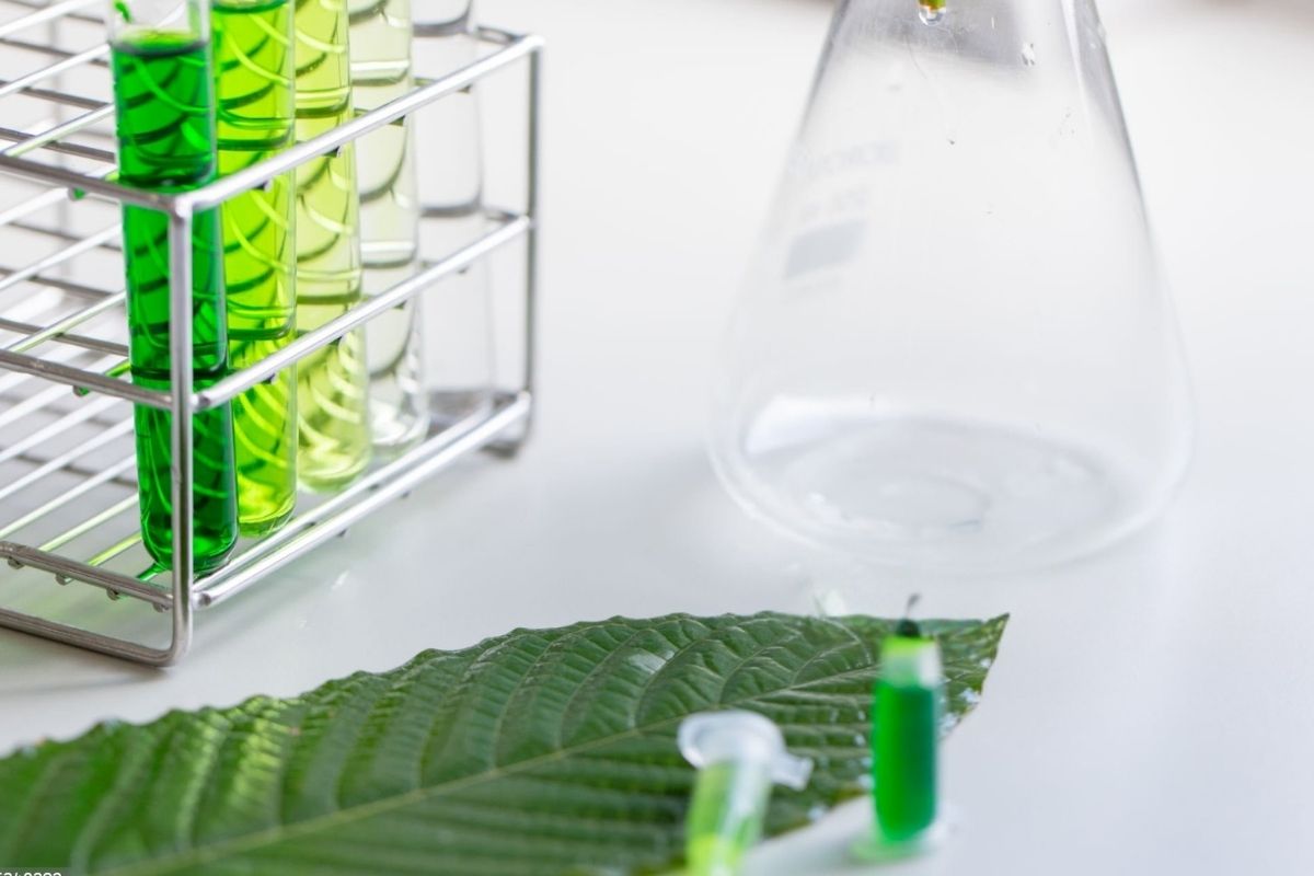 A collection of kratom samples is kept in a lab for testing
