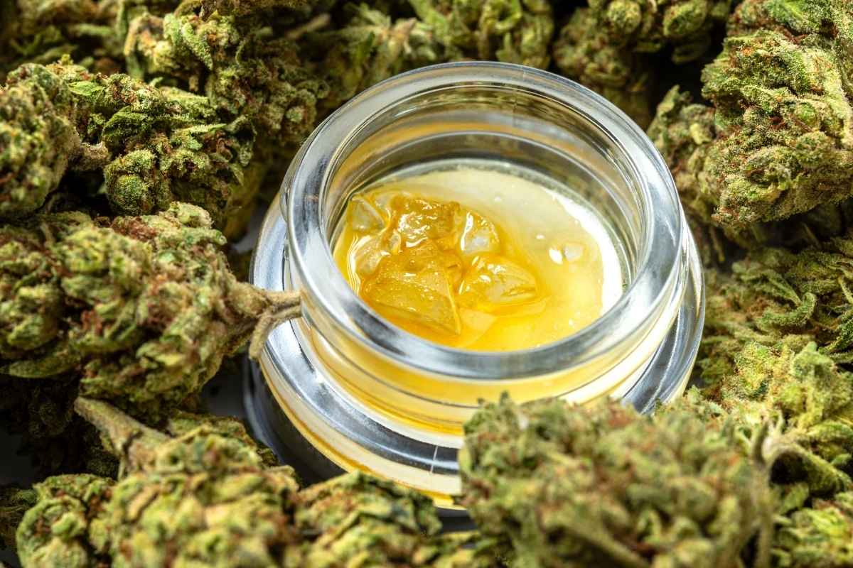 A high-quality liquid dab kept alongside cannabis flower