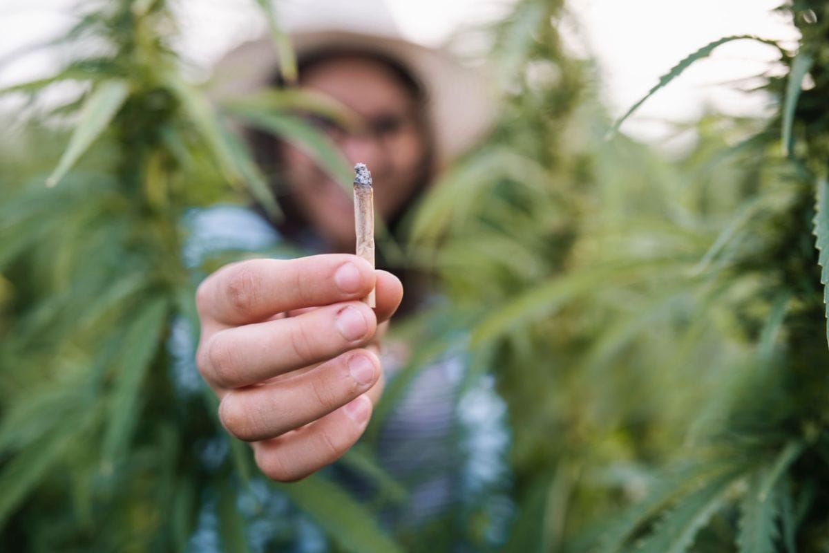 A lady smoking snow cap weed flower