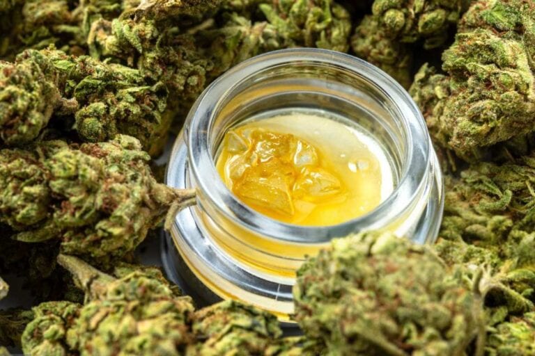 A small jar of live resin is surrounded by cannabis flower