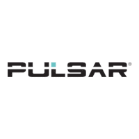 Pulsar