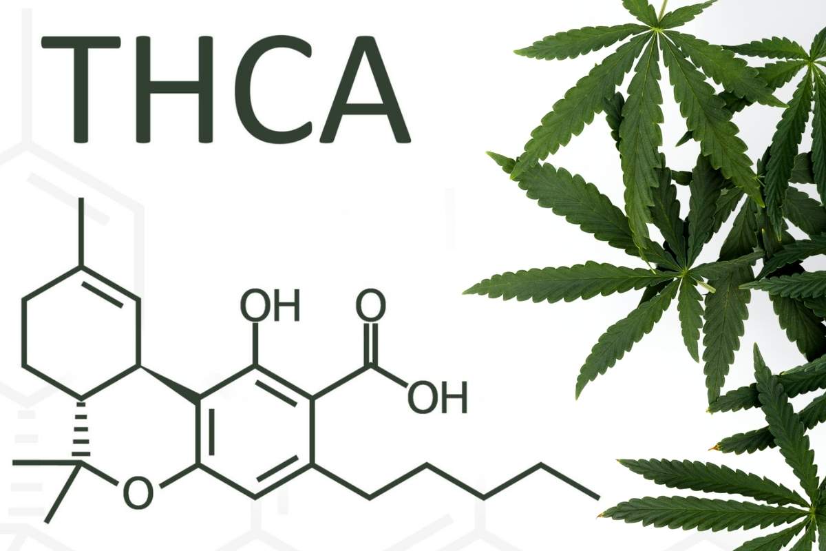 The image shows cannabis leaves alongside the THCA formula