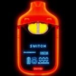 Boutiq Switch V4 Glow Edition Disposable 2 gram - Razzberry (I) x Cactus Cooler (H)