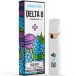 Canna River Delta 8 Disposable Vape 2g - Blue Razz (Hybrid)