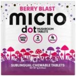 Microdot Magic Mushroom Tablets 2ct - Berry Blast