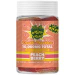 Hidden Hills Mini Mart Double Troublez Gummies - Peach Berry