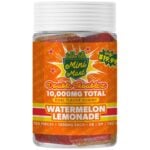 Hidden Hills Mini Mart Double Troublez Gummies - Watermelon Lemonade